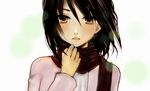  aiki black_hair brown_eyes mikasa_ackerman scarf shingeki_no_kyojin solo younger 