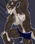  anthro biceps bigger_version_at_the_source black_nose blue_eyes boxer_briefs boxers brown_fur bulge canine claws fangs flexing fur grey_fur male mammal muscles nipple_piercing nipples paws pecs piercing plain_background pose solo standing teeth toned topless tyins tyins_darkwulf underwear unknown_artist 