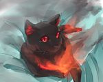  black_cat cat cat_focus fire kaenbyou_rin kaenbyou_rin_(cat) looking_at_viewer melon22 no_humans red_eyes solo touhou 