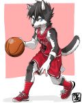  anthro basketball blue_eyes canine chicago_bulls clenched_teeth gym_shorts jersey kaminosaki mammal solo_focus sport teeth two_tone wolf young 