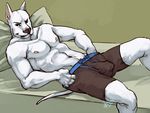  anthro balls bed biceps black_nose boulevard boxer_briefs boxers bulge canine dog erection fur looking_at_viewer lying male mammal muscles navel nipples on_back pecs penis pillow pose solo topless underwear white_fur 