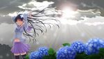  clouds flowers navel oshou sanka_rea sankarea seifuku sky zettai_ryouiki 