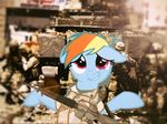 2013 army equine female friendship_is_magic gun horse looking_at_viewer military my_little_pony passiveusererwinwoz pegasus pony rainbow_dash_(mlp) ranged_weapon uniform weapon wings 