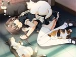  1girl amamiya_natsume animal_ears brown_hair cat cat_ears edelweiss fetal_position game_cg maid mary_janes shoes thighhighs white_legwear 