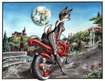  cervine deer earth gsx-f hooves mammal moon motorbike rural solo suzuki 