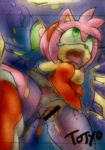  1boy 1girl aku_tojyo amy_rose censored chaos colored furry green_eyes open_mouth orgasm pussy sega sex sonic_the_hedgehog tojyo torn_clothes vaginal 