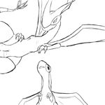  claws female feral flygon nintendo nude pok&#233;mon pok&eacute;mon pussy pussy_juice video_games wings 