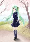  bad_id bad_pixiv_id cherry_blossoms from_behind funyo graduation green_hair hatsune_miku kneehighs long_hair looking_back school_uniform serafuku skirt smile solo twintails very_long_hair vocaloid 