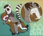  animatics butt butt_grab dreamworks female gripping interspecies king_julian_(madagacar) king_julien lemur lying madagascar male mammal marlene marlene_(madagacar) missionary_position mustelid on_back otter penetration primate sex straight vaginal vaginal_penetration 