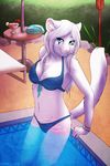  anthro bikini blue_eyes breasts cat cleavage clothed clothing feline female hi_res kira looking_at_viewer mammal nayel-ie pool skimpy solo swimsuit tight_clothing 