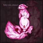  abstract_background balls blush canine carci claws cute digitigrade english_text erection feral fluffy_tail fox fur hindpaw looking_at_viewer lying male mammal nude on_back pawpads paws penis pink pink_fur purple_eyes sabakusuna sheath shy soles solo spread_legs spreading text toes 