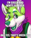  akita bandanna canine dog english_text ferality fur green_eyes green_fur green_nose green_tongue hoodie husky male mammal meme niic open_mouth purple purple_clothing solo suggestive teeth text tongue 