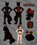  anthro black_fur bra canine clothing female feral fur green_eyes grey_fur hair human limizuki mammal markings model_sheet panties ponytail red_hair red_markings sierra_blakely underwear wolf 