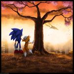  blue_fur canine crying eyes_closed fox fur gloves hand_on_head hedgehog mammal miles_prower multiple_tails mylafox outside sega shoes sonic_(series) sonic_the_hedgehog sunset tears tree yellow_fur 