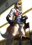  canine clothed clothing collar crossdressing cute erection fox girly legwear looking_at_viewer low-angle_shot male mammal necktie panties penis penis_tip poking_out schoolgirl skirt skirt_lift solo standing stockings underwear upskirt zorro_re 