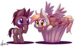  amber_eyes blonde_hair blue_eyes brown_fur brown_hair cutie_mark derpy_hooves_(mlp) doctor_whooves_(mlp) equine female feral food friendship_is_magic fur grey_fur hair horse jggjqm522 looking_at_viewer male mammal muffin my_little_pony pegasus plain_background pony pose smile tongue wings yellow_eyes 