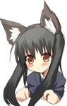  animal_ears black_hair blush brown_eyes k-on! long_hair nakano_azusa school_uniform solo tsunono 