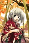  absurdres bamboo bamboo_forest copyright_request fan forest grey_eyes grey_hair highres japanese_clothes kimono mitsumi_misato nature solo 