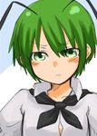  antenna antennae choutako female green_eyes green_hair short_hair touhou wriggle_nightbug 