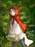  bangs basket bird bob_cut cape chicken cloak cosplay crossdressing dress fate/zero fate_(series) green_eyes green_hair hood little_red_riding_hood little_red_riding_hood_(grimm) little_red_riding_hood_(grimm)_(cosplay) male_focus otoko_no_ko pantyhose parted_bangs solo vesperster waver_velvet 