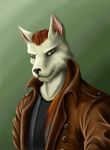  atinka8 canine cybernetic cyberpunk dragos_sav&#039;oi&#039;ss:char dragos_sav'oi'ss ear_piercing folf fox fur hair hybrid leather_jacket long_hair male mammal piercing portrait red_hair smile sniper solo white_fur wolf wolfox 