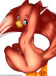  avian bird cardinal erection girly kami-chan kneeling looking_at_viewer male nekra nude penis raised_tail red_cardinal solo 