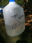  canine dog dog_water jug tagme 