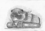  feral foxia guinea_pig machine mammal mechanical rodent solo what 