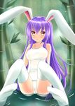  animal_ears bad_id bad_pixiv_id bamboo bamboo_forest bunny_ears collarbone covered_navel forest gennsuikyou highres long_hair nature one-piece_swimsuit partially_submerged purple_hair red_eyes reisen_udongein_inaba school_swimsuit sitting solo swimsuit thighhighs touhou very_long_hair water white_legwear white_school_swimsuit white_swimsuit 