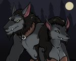  canine collar duo female male mammal moon sigil sigilgoat video_games warcraft were werewolf wolf worgen 