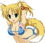  absurdres animal_ears bare_shoulders bikini blonde_hair blue_eyes breasts cleavage dog_days fox_ears fox_tail highres large_breasts long_hair looking_at_viewer navel open_mouth ponytail ribbon solo swimsuit tail yukikaze_panettone 