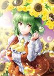  ascot breasts field flower flower_field green_hair hand_in_hair kazami_yuuka large_breasts looking_at_viewer open_clothes open_vest parasol petals red_eyes shirt skirt smile soap_bubbles solo sunflower touhou umbrella vest y2 