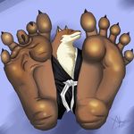  5_toes alakser anthro bleach canine claws clothing foot_focus fur hindpaw looking_at_viewer male mammal paws plain_background sajin_komamura shinigami sitting smile toes wolf 