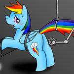  bdsm bondage bound cutie_mark equine female feral friendship_is_magic horse kushina13 machine mammal mechanical my_little_pony open_mouth pegasus pony rainbow_dash_(mlp) raised_tail restrained robot solo tears wings 