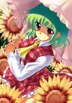  flower green_hair hidamarinet kazami_yuuka plaid plaid_vest red_eyes short_hair solo sunflower touhou umbrella vest 