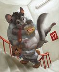  bear bottomless brown_fur chinchilla chips food fur grey_fur mammal necktie obese overweight rodent silverfox5213 size_difference stairs 