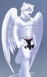  canine divine jailbird loincloth male mammal sebris solo tribal white wings wolf 