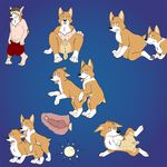  anatomically_correct anatomically_correct_pussy animal_genitalia blue_background canine canine_pussy corgi cum cum_in_pussy cum_inside cunnilingus dog duo edthebordercollie female feral gender_transformation hi_res impregnation knot knotting male mammal multi_nipple nipples oral oral_sex ovum penetration penis plain_background pregnant pussy sex spread_legs spreading straight transformation transgender vaginal vaginal_penetration 