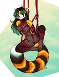  breasts female hanging looking_at_viewer mammal nude pussy red_panda restrained rope solo thetiedtigress vega 