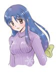  blue_hair brown_eyes hanamutsuki long_hair ranma_1/2 tendou_akane turtleneck 