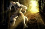  chest jocarra male mammal muscles paws solo sunset tree were werewolf wolf 
