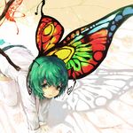  all_fours antennae butterfly_wings green_eyes green_hair long_sleeves looking_at_viewer multicolored multicolored_wings open_mouth shirt short_hair shorts solo thighhighs touhou white_legwear wings wriggle_nightbug yoss_3 