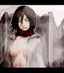  abs bad_id bad_pixiv_id black_hair blood blue_eyes breasts cleavage highres john_marica medium_breasts mikasa_ackerman scarf shingeki_no_kyojin short_hair solo 