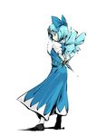  blue_eyes blue_hair cirno full_body painfultree solo standing touhou 