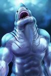  anthro biceps black_eyes cool_colors fangs fish fishmen gills great_white_shark male marine muscles nude open_mouth pecs pose scales scar shark solo standing teeth tesso toned underwater water 