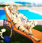  abs aolun_(character) balls biceps big_muscles black_fur blue_eyes body_markings claws erection feline fur leobo looking_at_viewer male mammal markings muscles nude pecs penis solo tiger white_tiger 