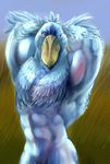  anthro arms_behind_head avian beak biceps bill bird blue_body feather feathers flexing looking_at_viewer male muscles nude pecs pose red_eyes shoebill solo standing tesso 