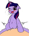  bestiality clitoris cowgirl_position cum duo equine female feral friendship_is_magic horse human interspecies male mammal my_little_pony on_top pony punkydreamer pussy sex straddling straight sweat twilight_sparkle(mlp) twilight_sparkle_(mlp) 