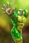  anthro avian beak biceps bird black_eyes budgie feathers green_body gweek kakapo male muscles nude pecs pose solo standing yellow_body 