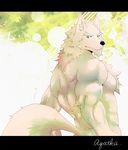  abs anthro biceps black_nose canine chest_tuft fur green_eyes looking_at_viewer looking_back male mammal muscles nude pecs pose solo standing toned tuft umetora_(pixiv) white_fur wolf 